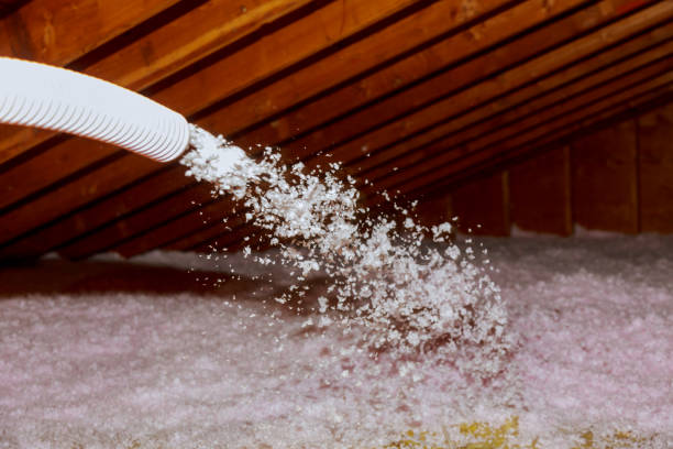 Best Residential Insulation in Oronoco, MN