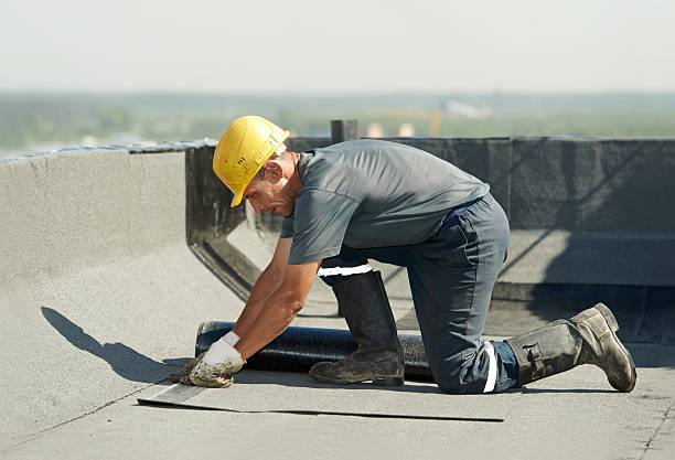 Best Energy Efficiency Insulation in Oronoco, MN