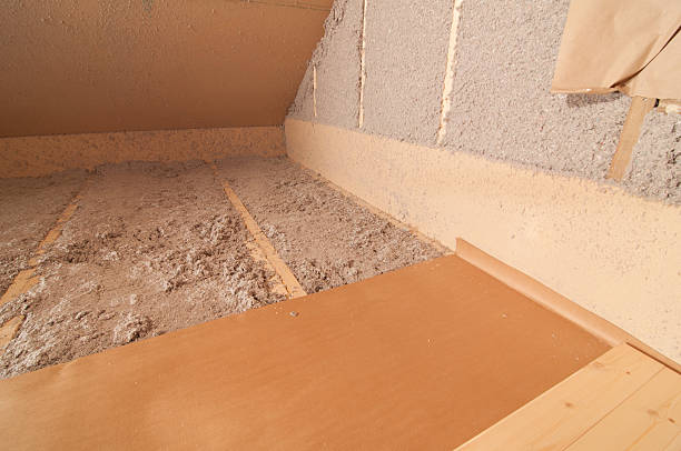 Best DIY Insulation Kits and Guidance in Oronoco, MN