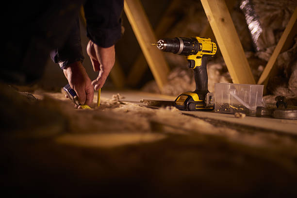 Best Cellulose Insulation in Oronoco, MN